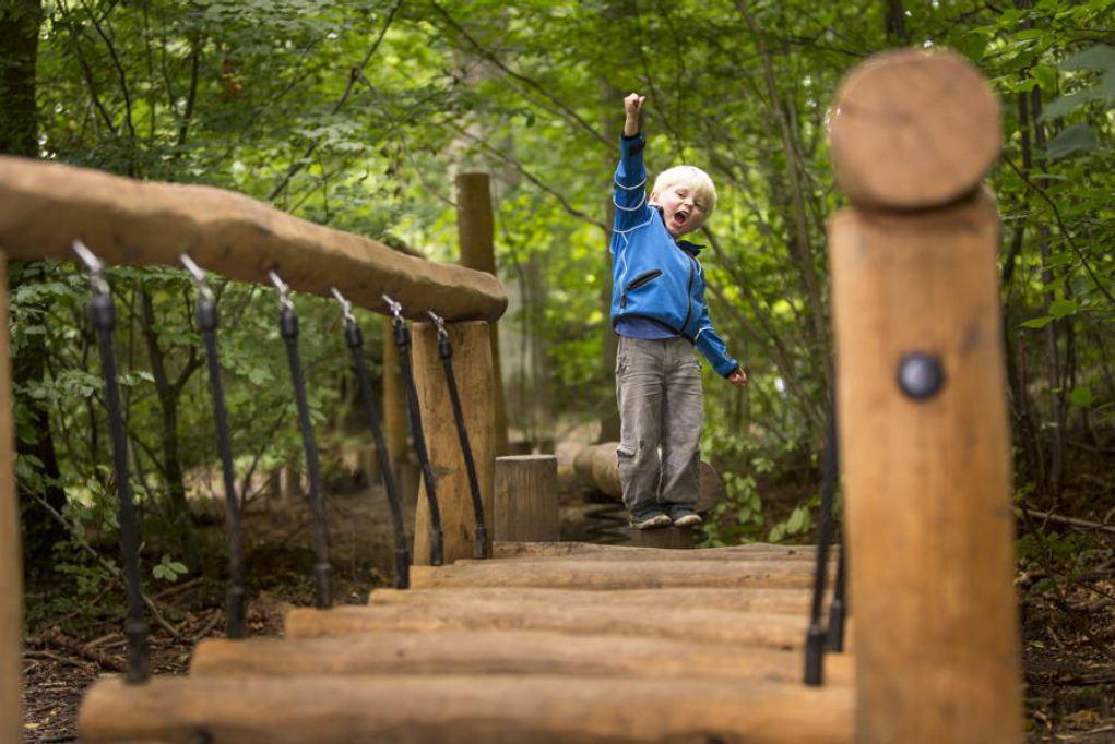 Lille Dreng I Aktivitetsparken