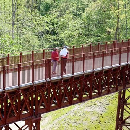 Guidede Ture Ved Den Genfundne Bro