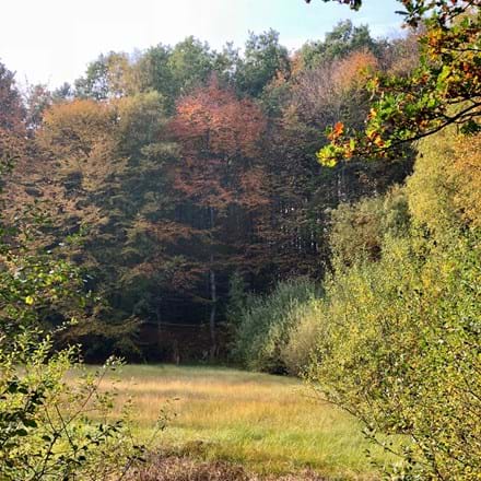 Efterår
