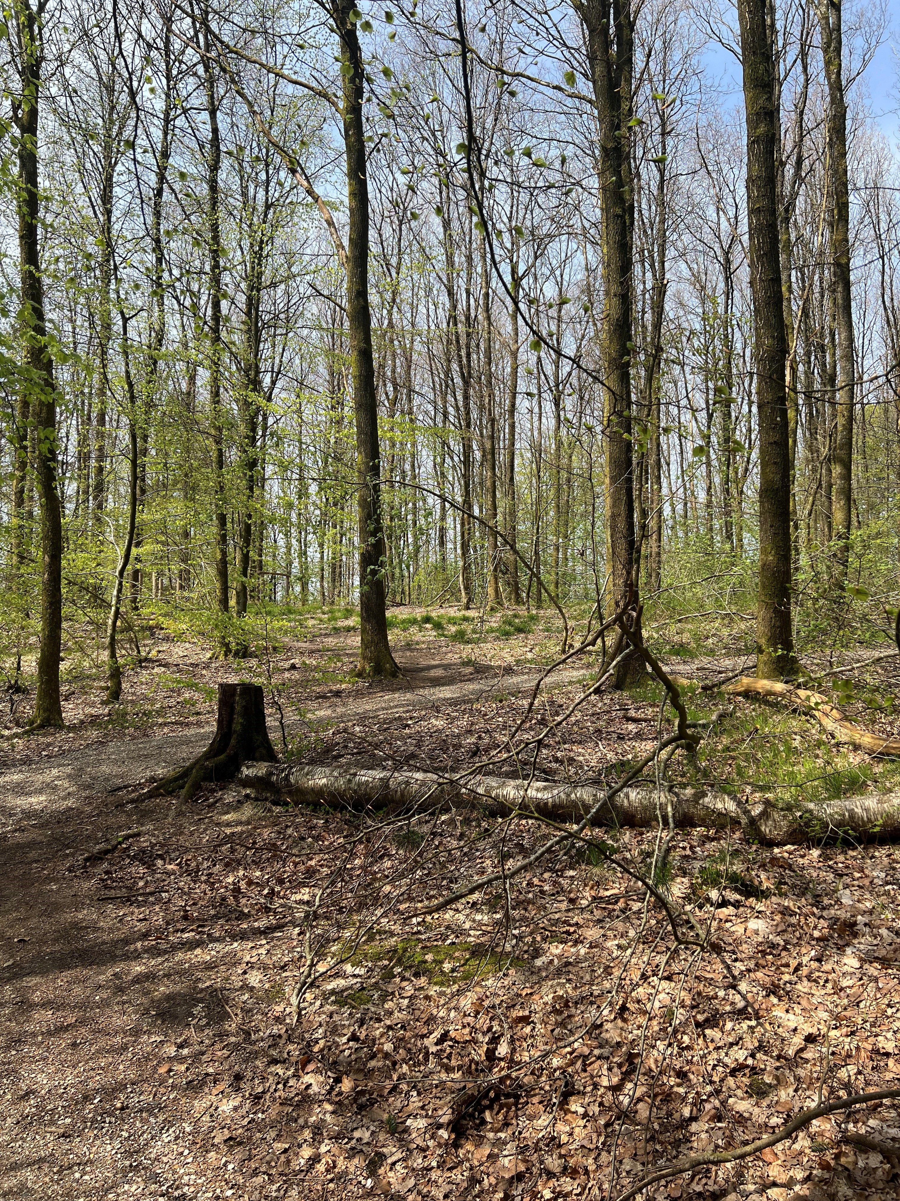 Stamme Til At Sidde På